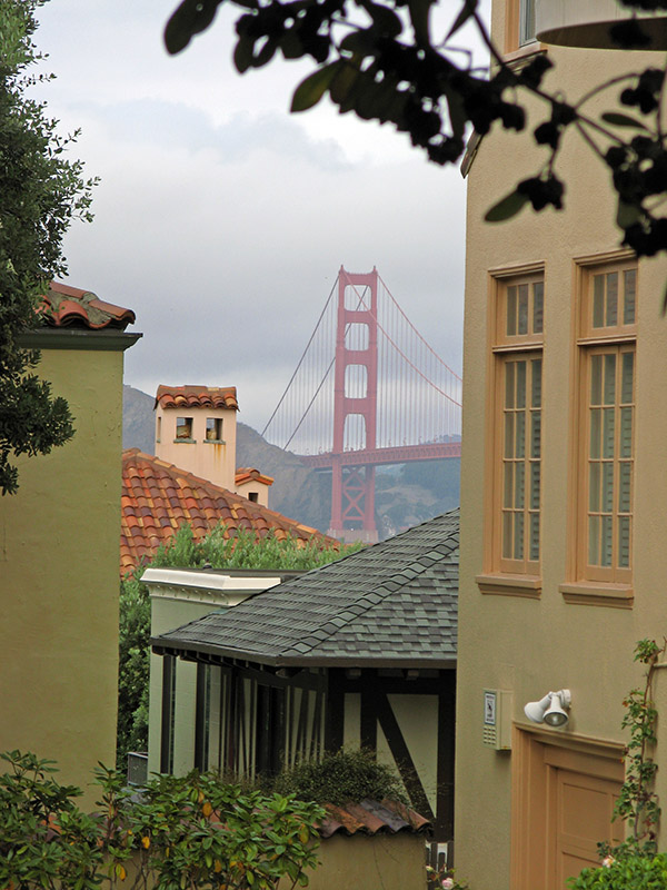 GGBridge: Vignette from 26th Avenue3793