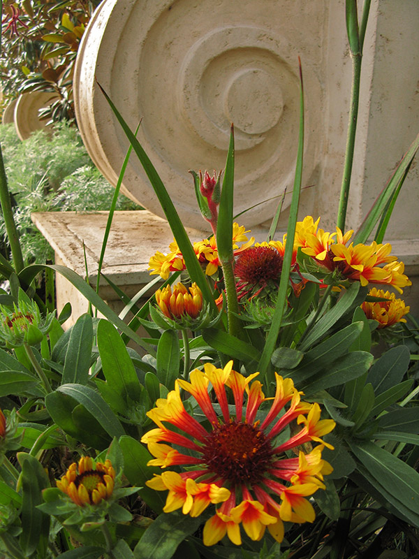 Sunny detail 4386