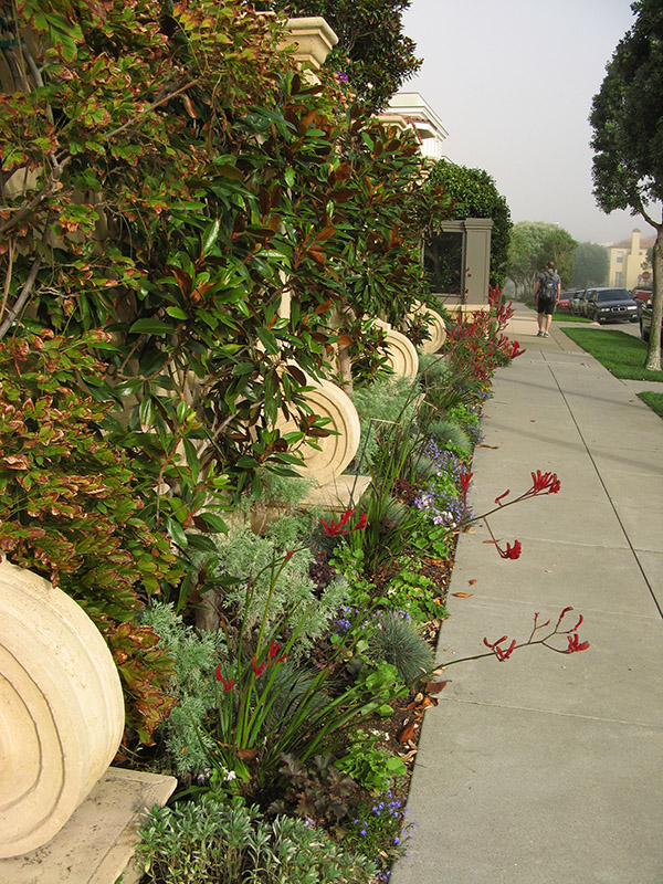 A sidewalk attraction4391