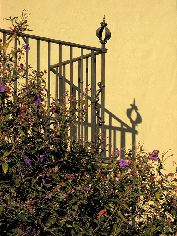 Shadows 4404