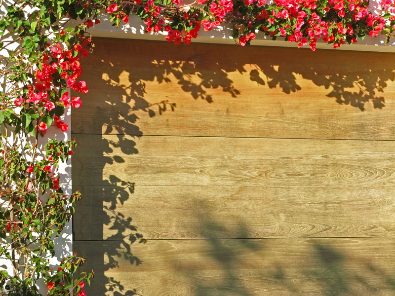 Sunlight and shadows 4407