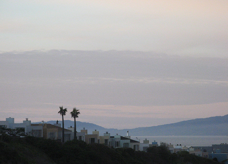 Two palms4887