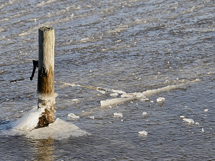 freeze thaw