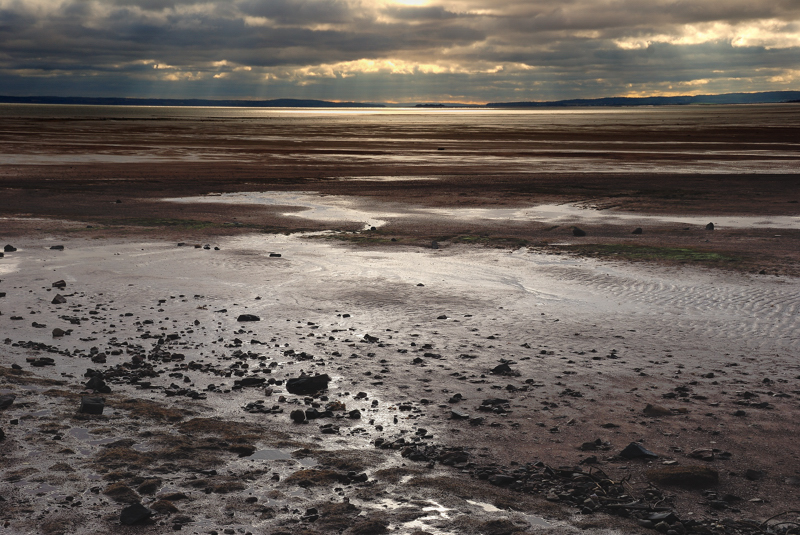 Low tide on the Bay of Fundy