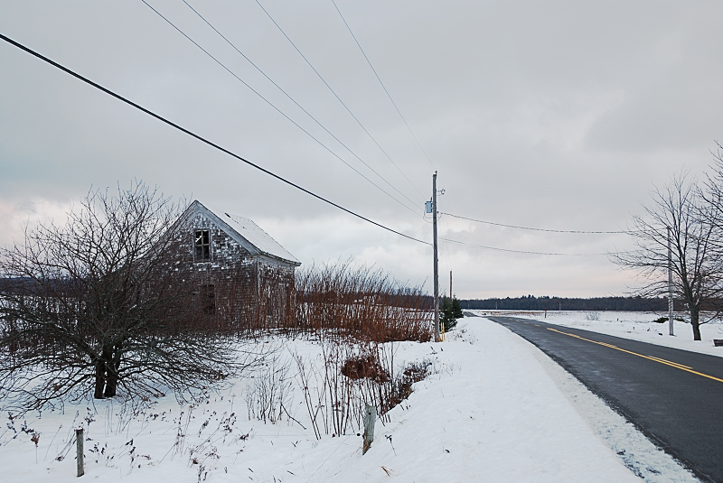 Cold and lonely