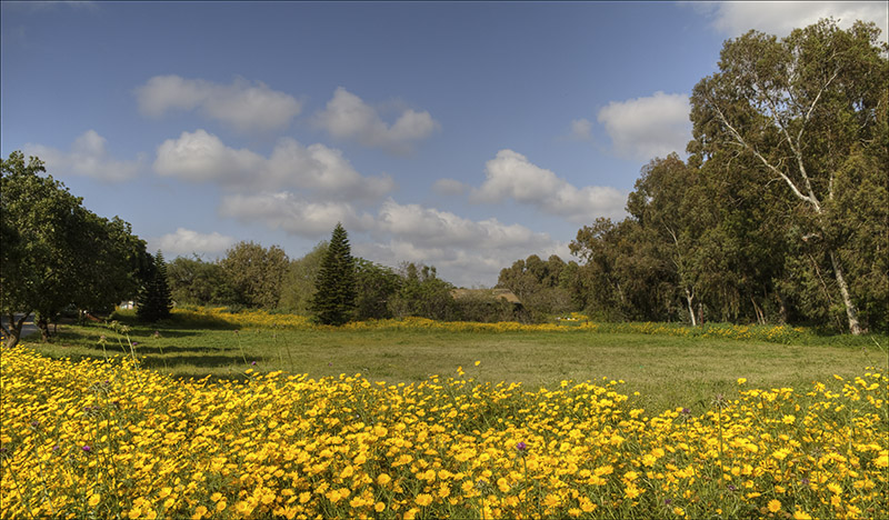 Kibbutz Gil Yam on a Spring Day.jpg