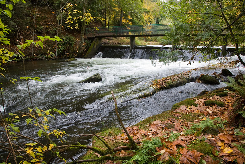 Whatcom Creek