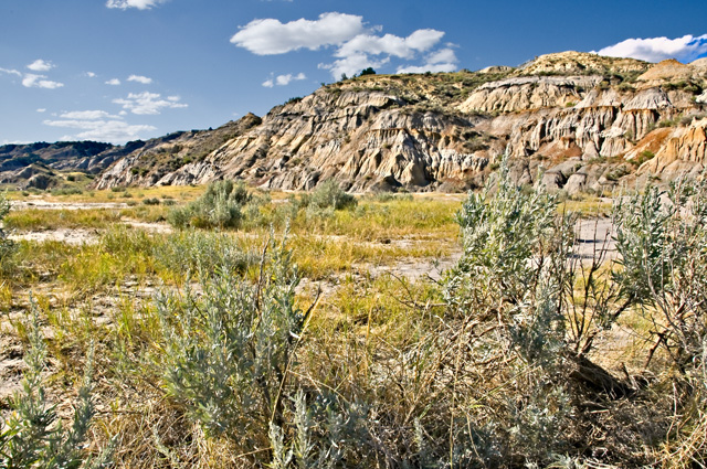 Theodore Roosevelt National Park, North Unit