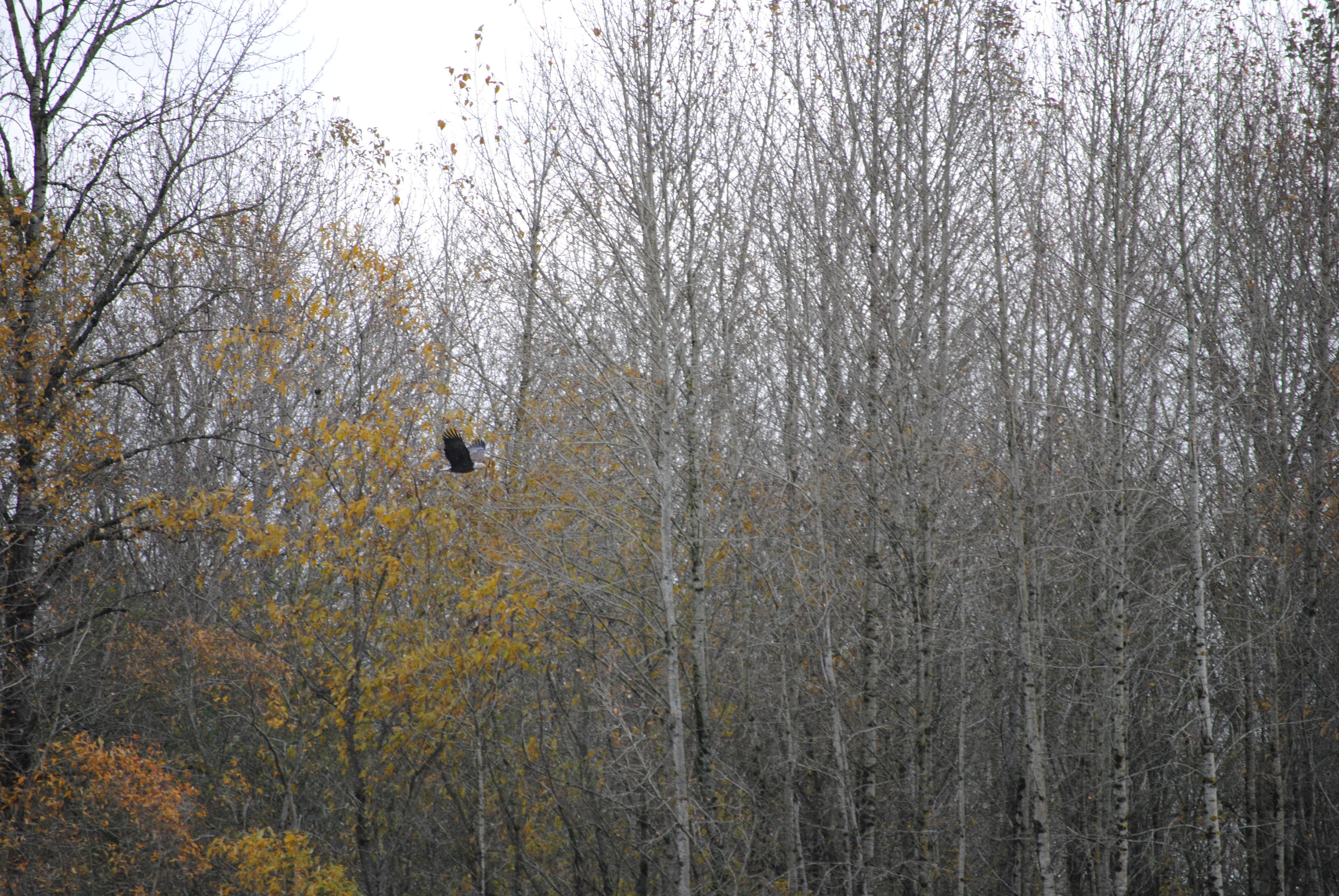 DSC_0374.JPG