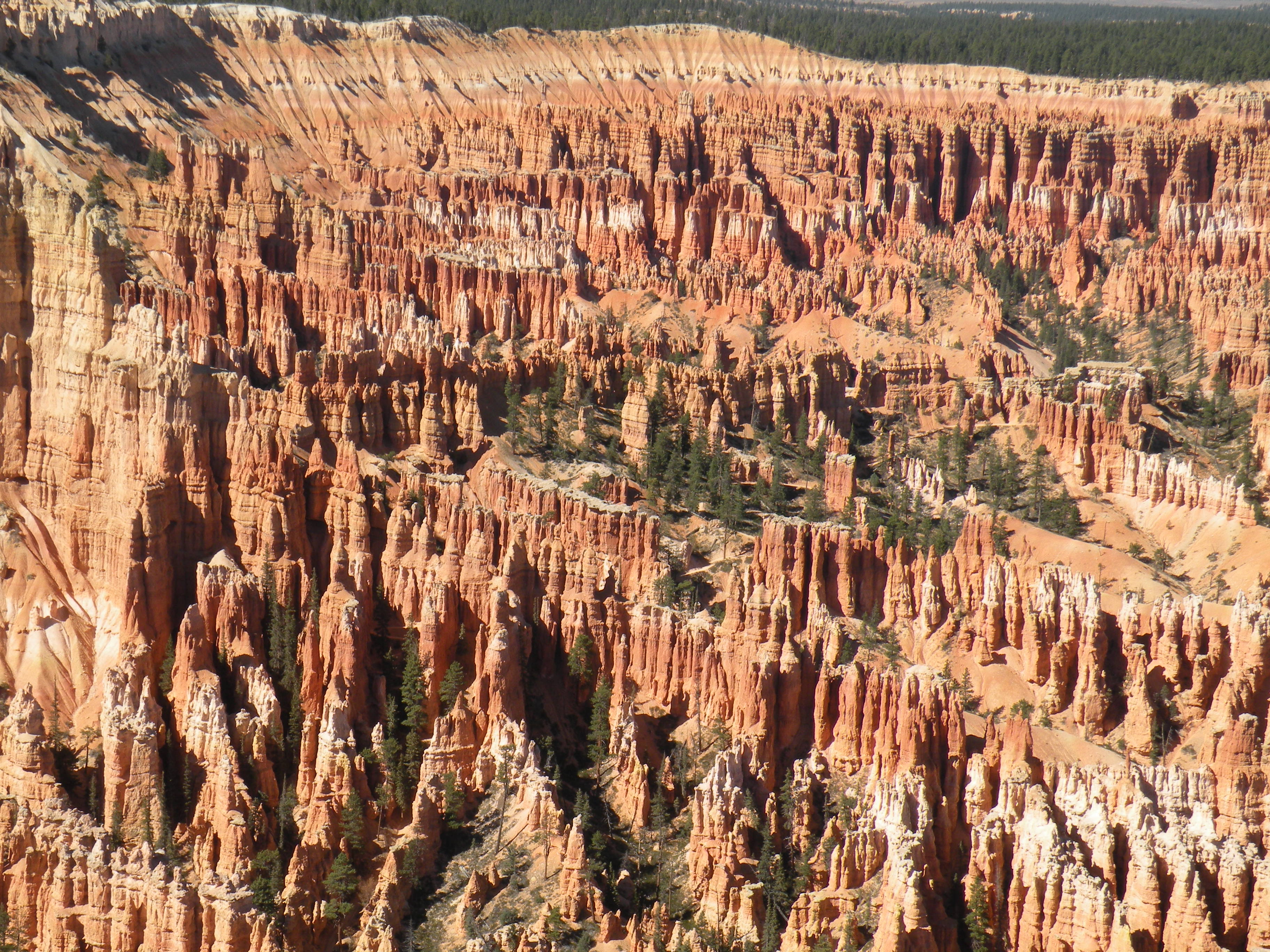 DSCN0167.JPG