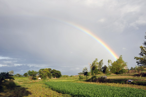 Rainbow over agricultural fields just west of Laoag City