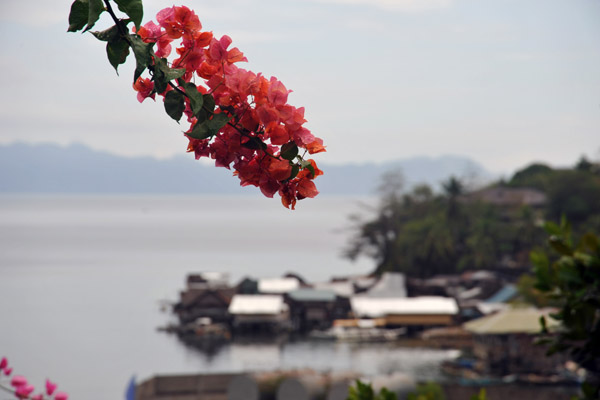 Flowers on a hillside in Culion