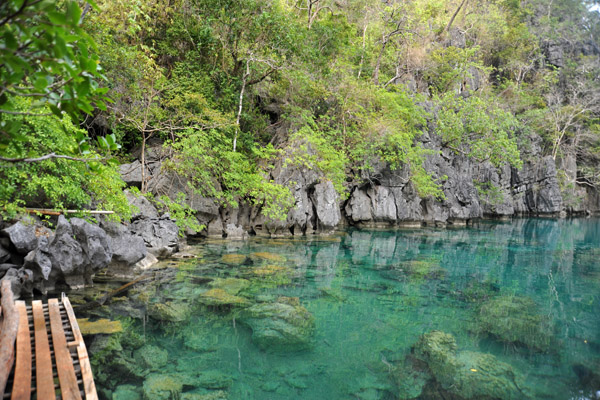 The water of Kayangan Lake is very clear