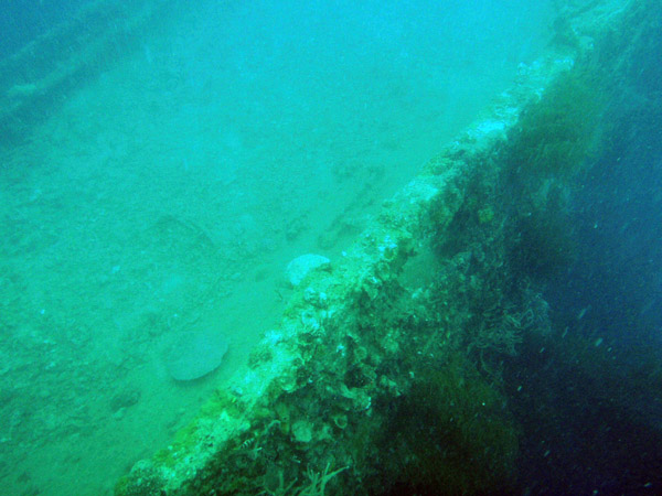 The Olympia Maru sits upright with the deck at 18-24m