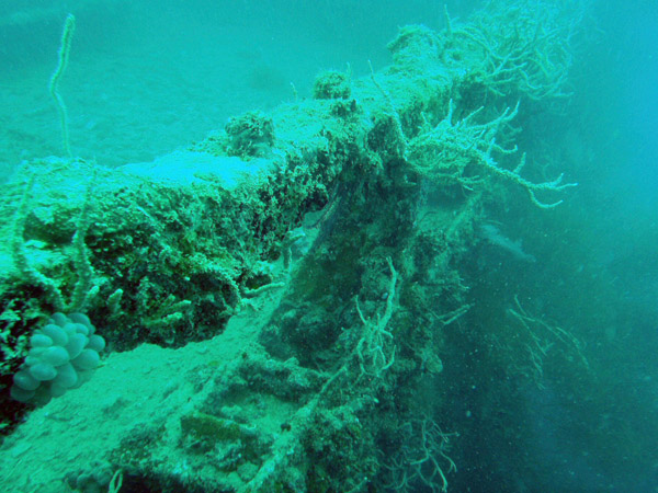 Olympia Maru was sunk 24 Sept 1944