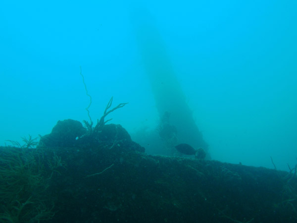 Mast of Olympia Maru