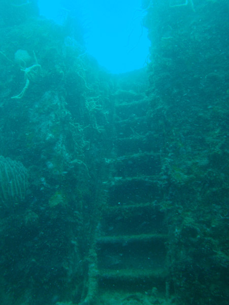 Ladder on the Olympia Maru