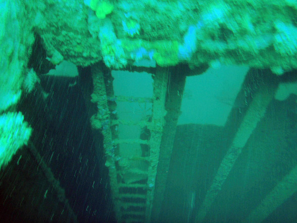 Ladder down into one of the holds of Olympia Maru