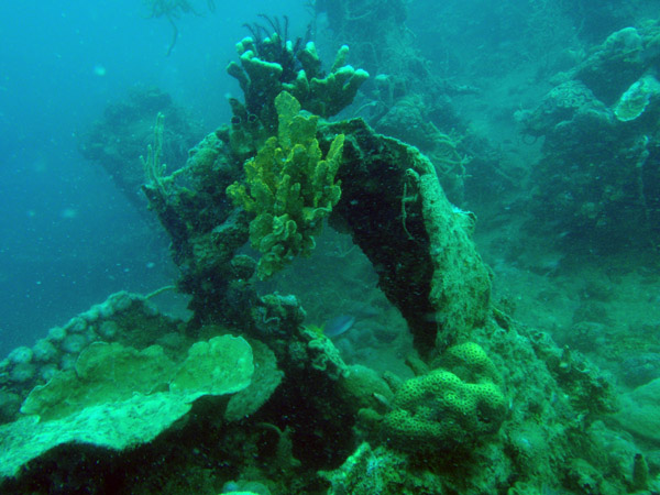 On the deck of the East Tangat Gunboat wreck
