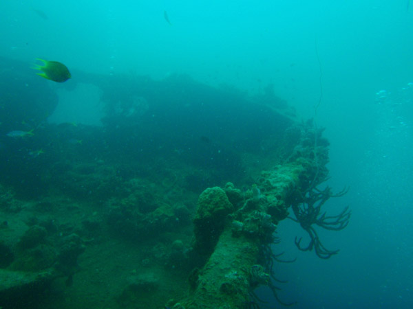 Bow of the East Tangat Gunboat