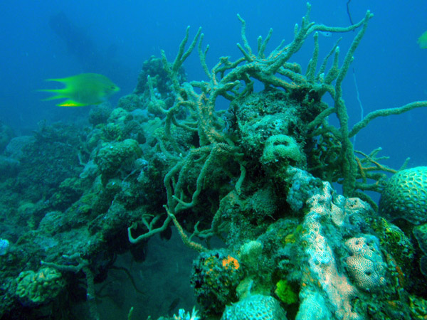 East Tangat Gunboat wreck, Coron Island