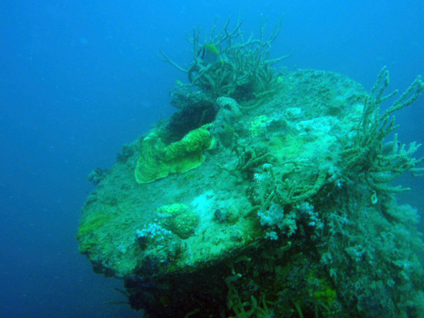 Top of the stack, East Tangat Wreck