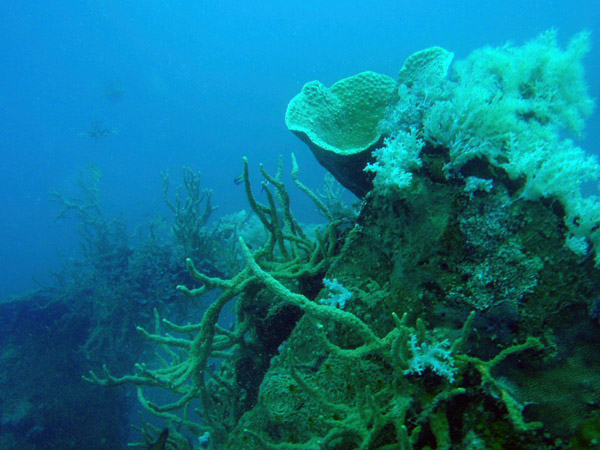 East Tangat Gunboat wreck, Coron Bay