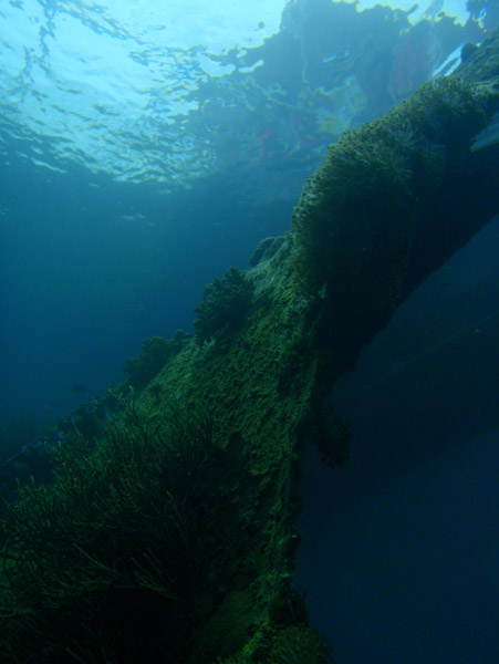 Lusong Gunboat wreck in shallow water