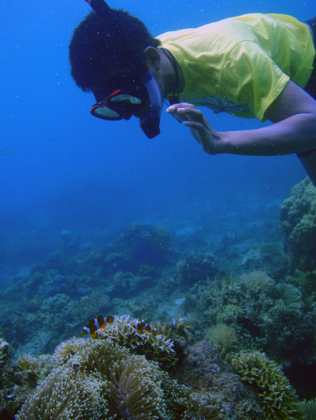 Dennis snorkling Pangulasian Island