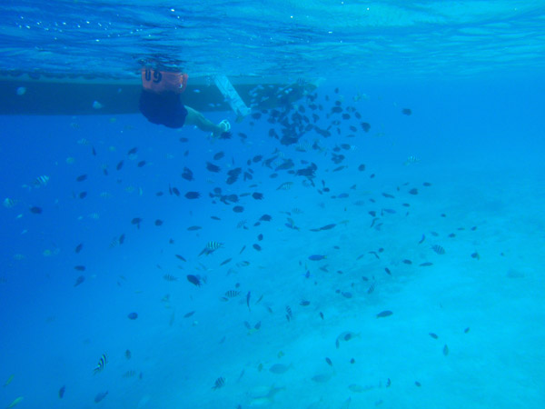 Another boat dropping food to fish