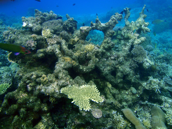 Underwater, Simisu Island