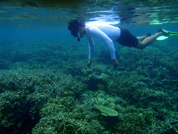 Shallow reef, Simisu Island