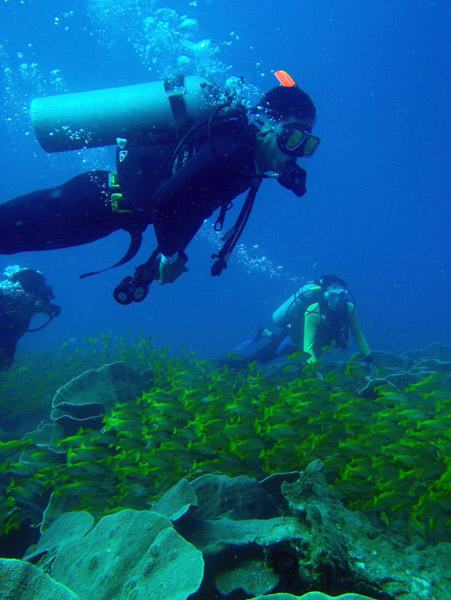 Diving South Miniloc