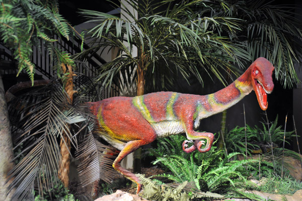 Coelophsis shown surrounded by Trassic vegetation