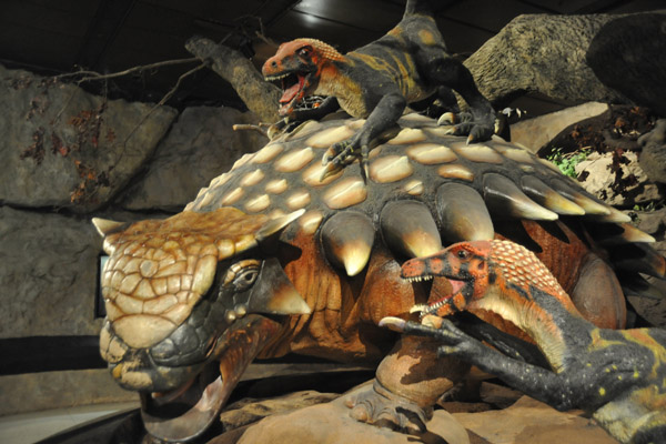 Speculative diorama of Ankylosaurus and Dromaeosaurus