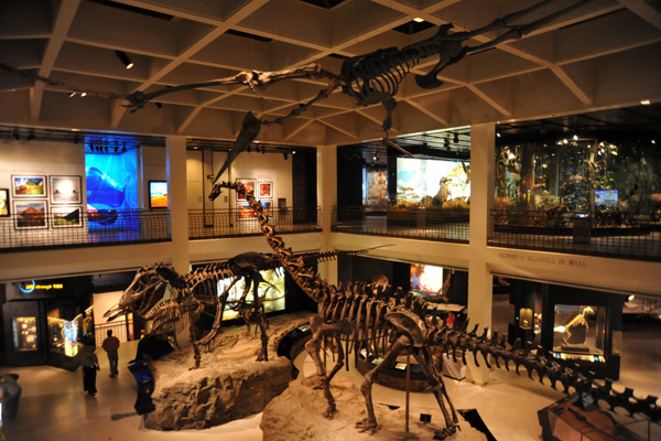 Hall of Paleontology, Houston Museum of Natural Science