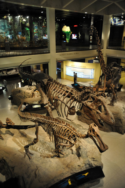 Hall of Paleontology