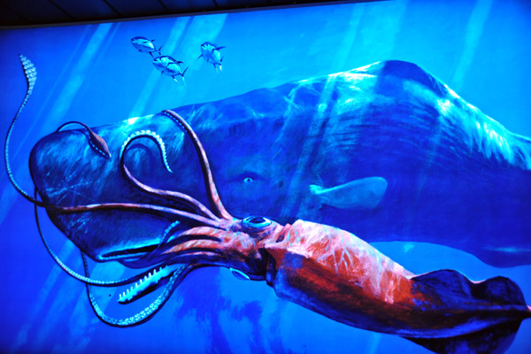 Clash of Titans - Sperm Whale vs Giant Squid