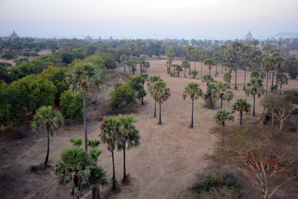 Flying low over the plains of Bagan by balloon