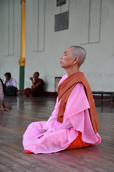 Buddhist nun meditating, Shewdagon Paya
