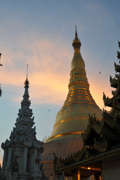 The main stupa (zedi) of Shwedagon at dusk