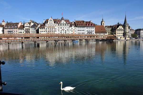 Mouth of the Reuss, Luzern