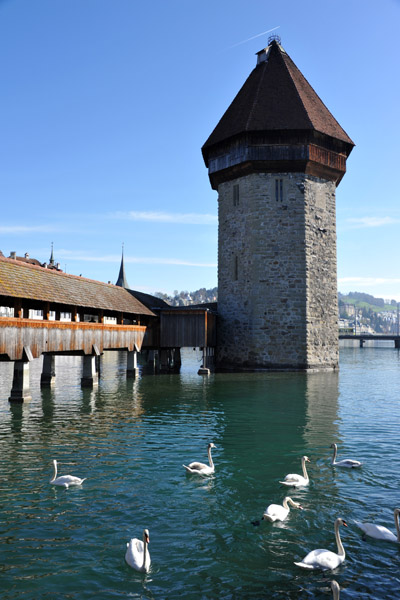 Wasserturm, Kapellbrcke, Luzern