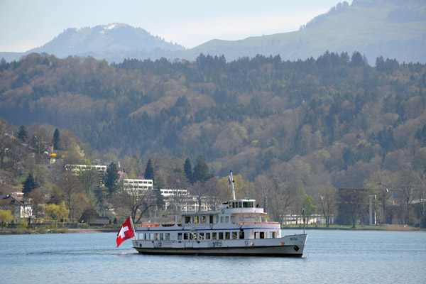Lake Lucerne turbot Rigi