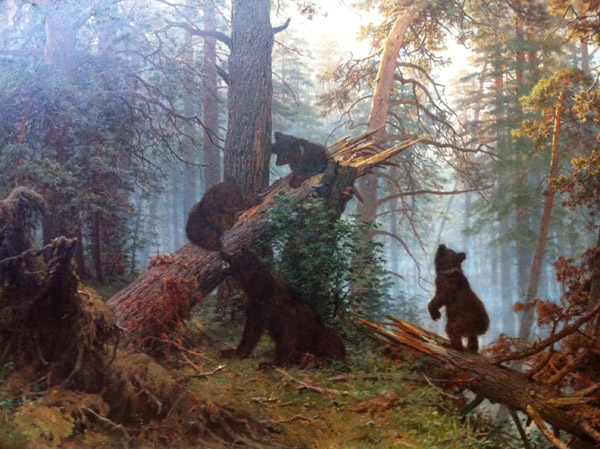 Black Bears in the Forest