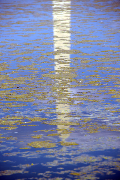Algae-covered reflecting pool
