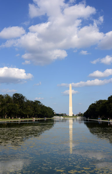 Washington Monument & Reflecting Pool