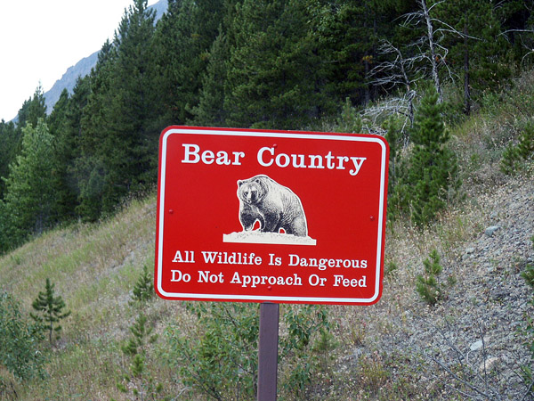 Bear Country warning sign, Glacier National Park