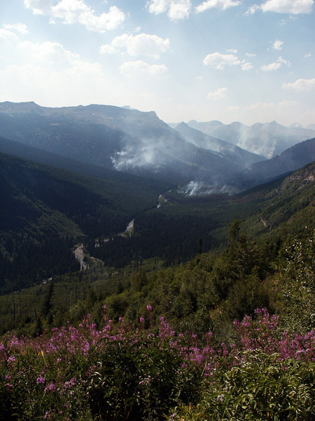 Smoke rising from fires in the distance