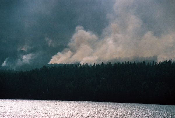 Forest Fire, summer 2003, Glacier National Park